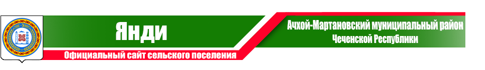 Янди | Администрация Ачхой-Мартановского района ЧР